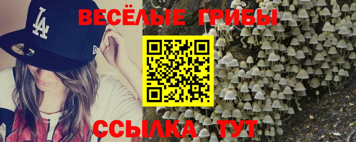 Псилоцибиновые грибы Cubensis Учалы