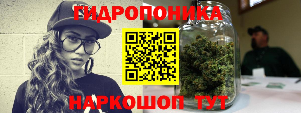 Каннабис OG Kush Учалы